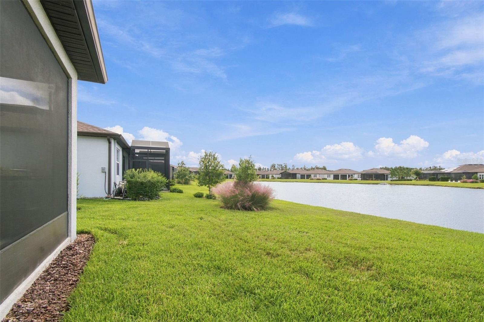 6010 SHOREBIRD BRANCH, Land O Lakes, FL 34638