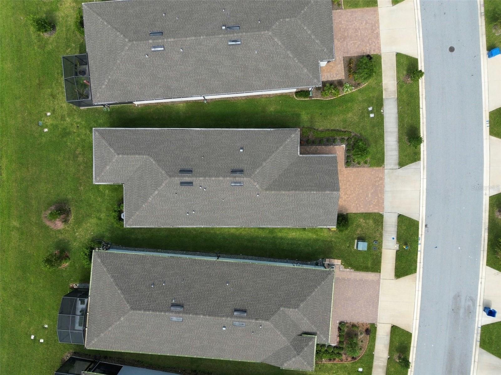 6010 SHOREBIRD BRANCH, Land O Lakes, FL 34638
