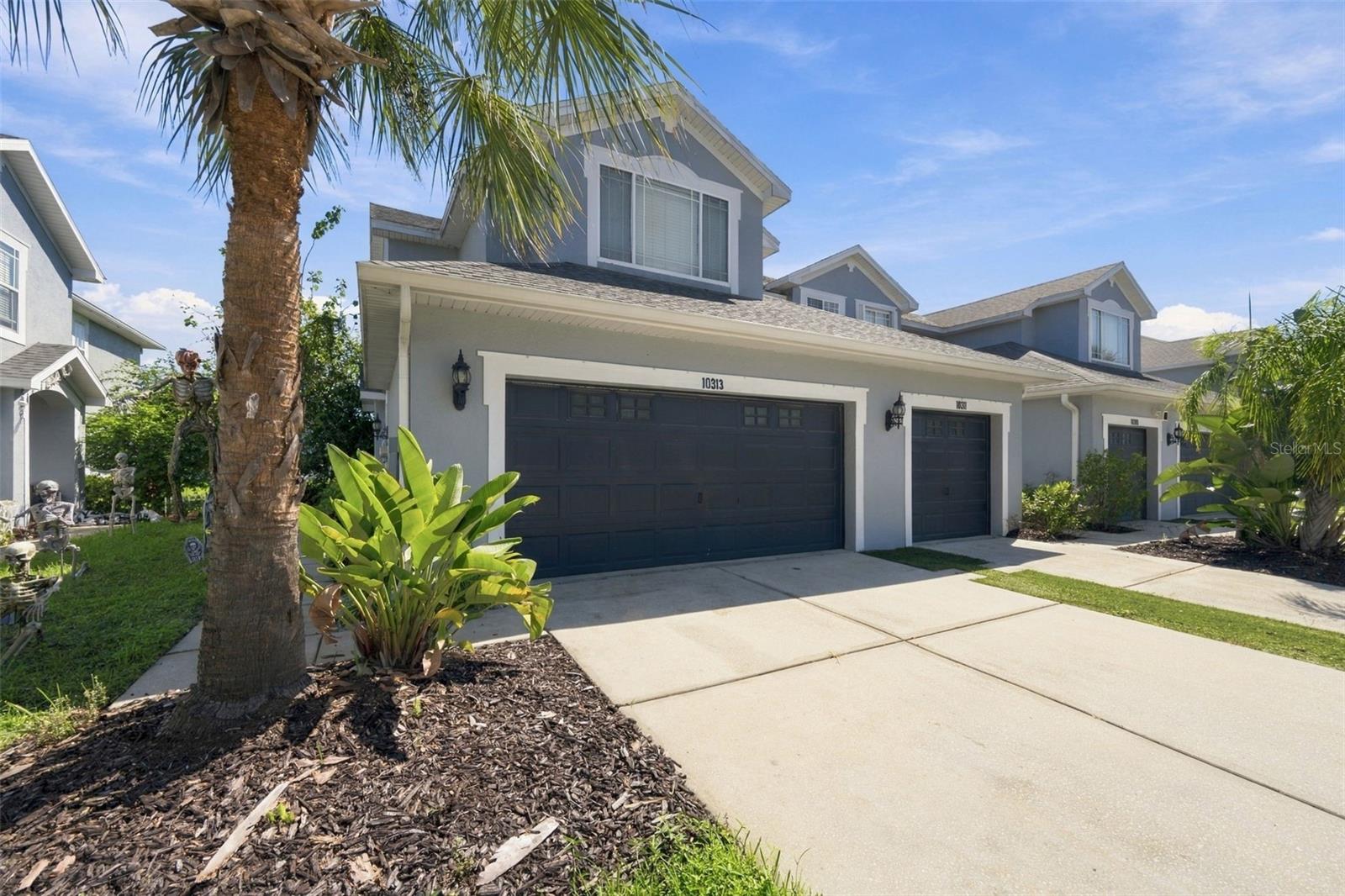 10313 WILLOW LEAF TRAIL, Tampa, FL 33625