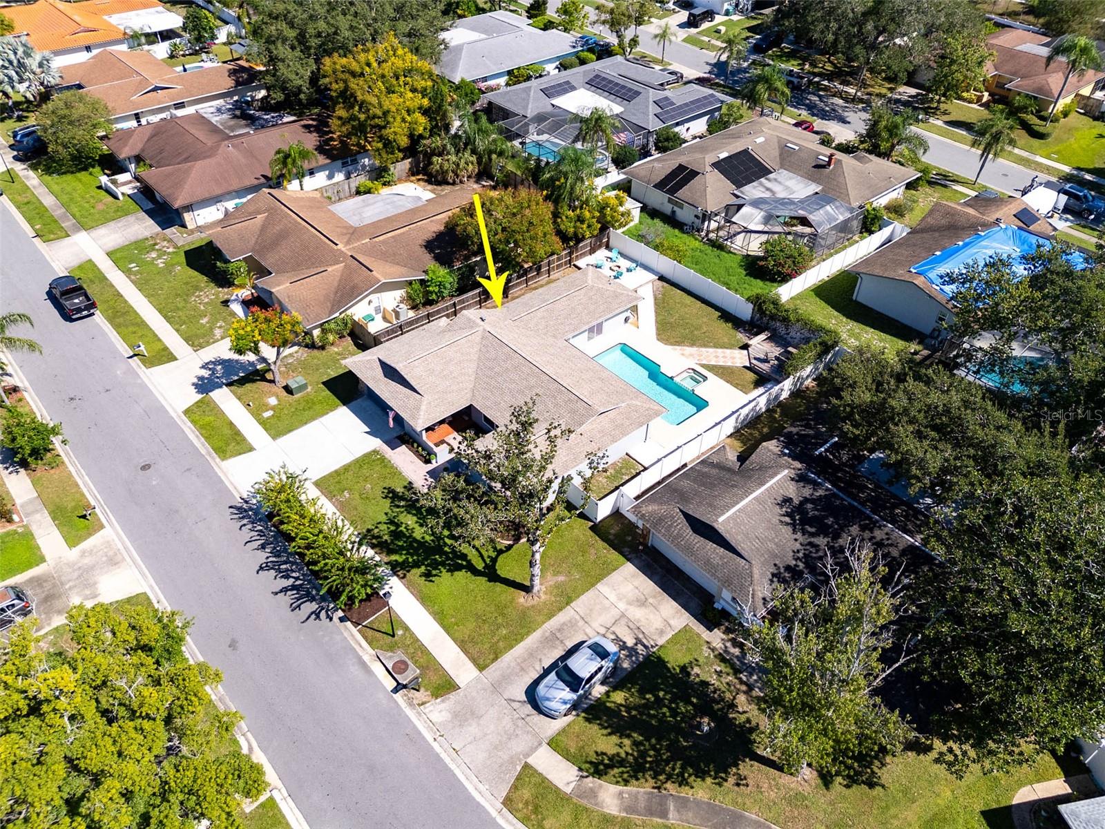3427 GLOSSY IBIS CT, Palm Harbor, FL 34683