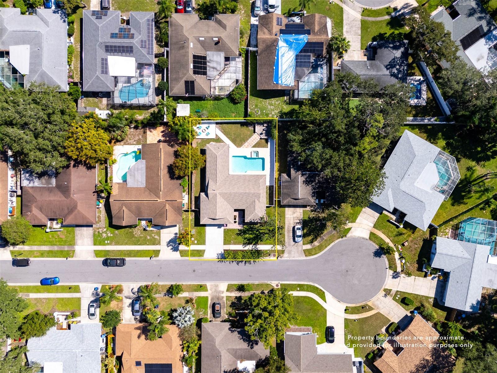3427 GLOSSY IBIS CT, Palm Harbor, FL 34683