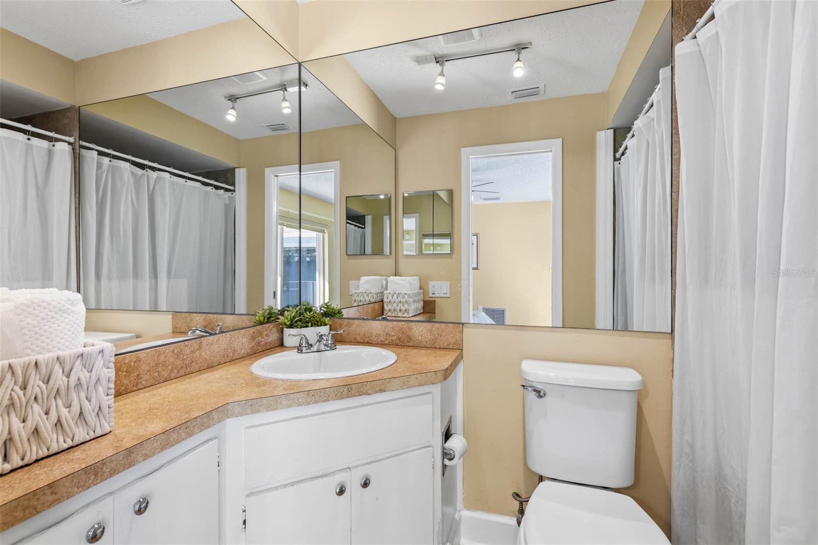 3427 GLOSSY IBIS CT, Palm Harbor, FL 34683