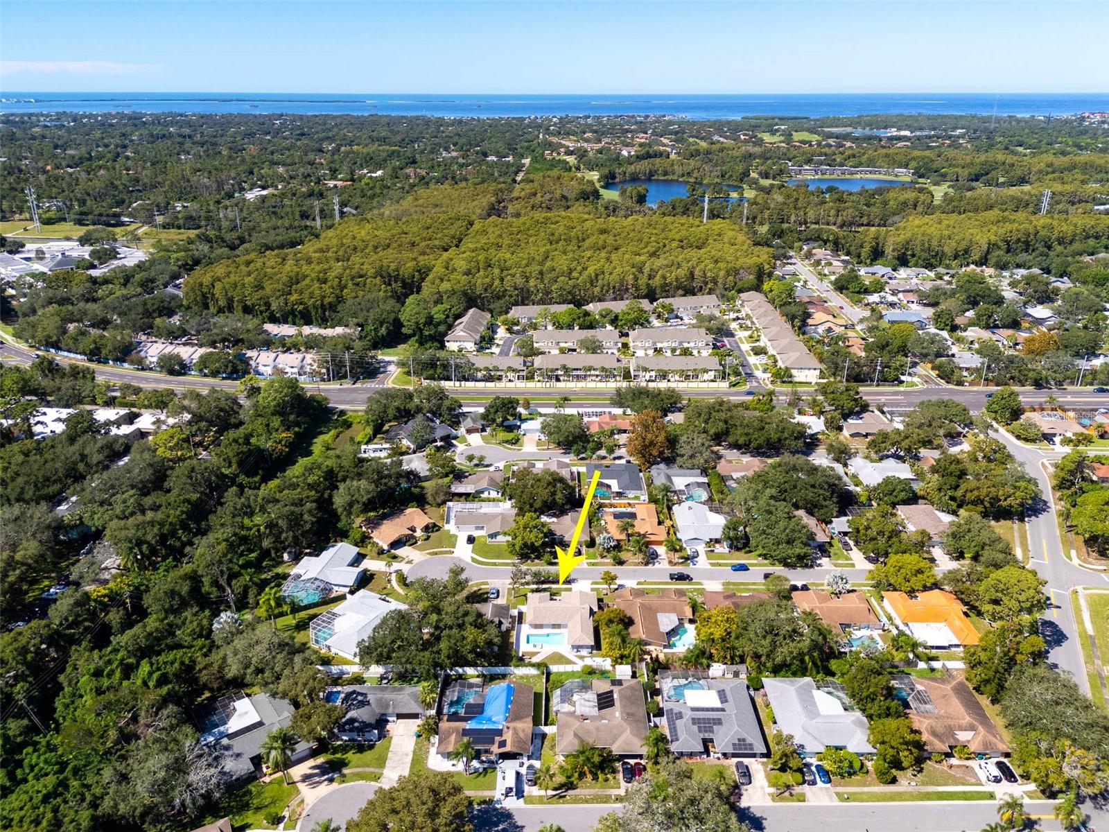 3427 GLOSSY IBIS CT, Palm Harbor, FL 34683