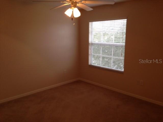 13028 AVALON CREST COURT, Riverview, FL 33579