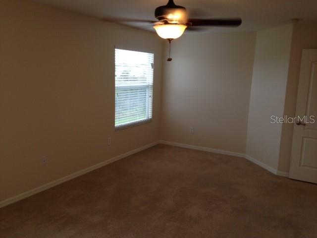 13028 AVALON CREST COURT, Riverview, FL 33579