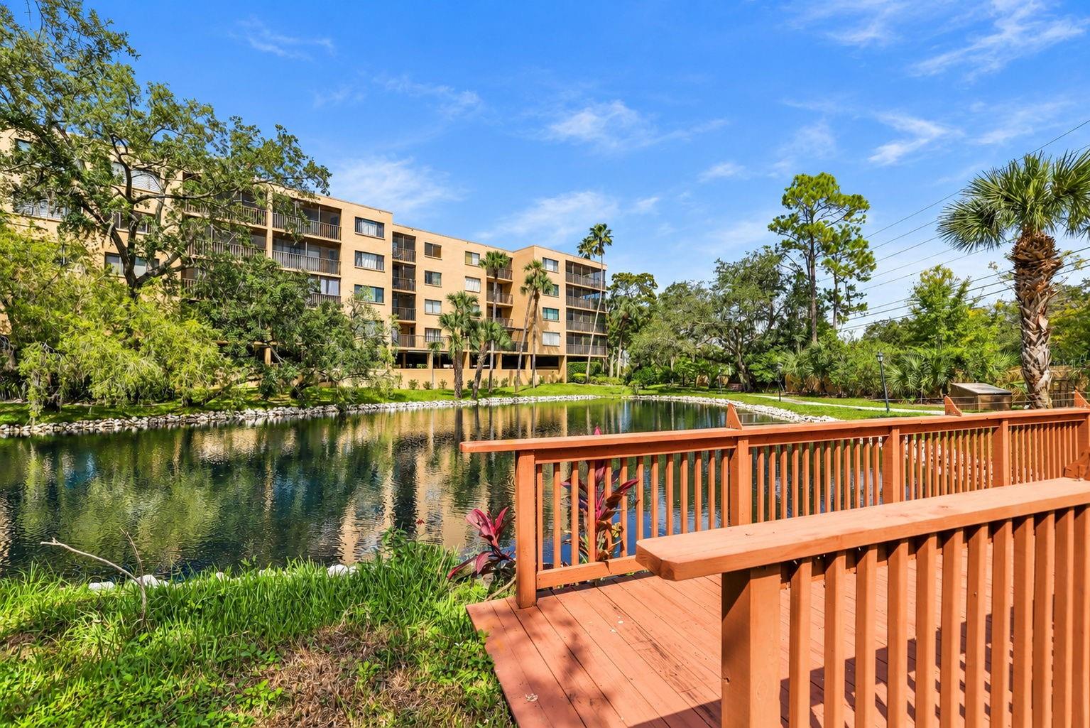 3062 EASTLAND BOULEVARD, #313, Clearwater, FL 33761