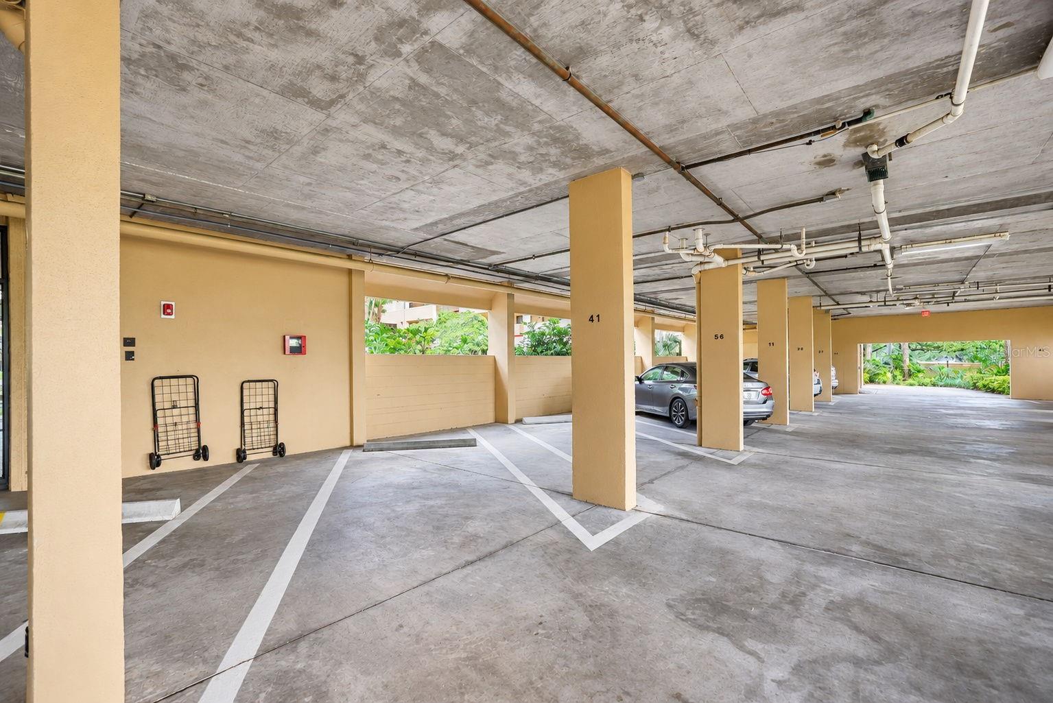 3062 EASTLAND BOULEVARD, #313, Clearwater, FL 33761