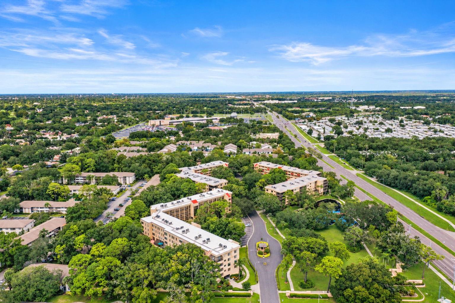 3062 EASTLAND BOULEVARD, #313, Clearwater, FL 33761