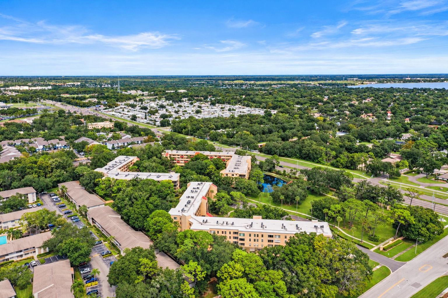 3062 EASTLAND BOULEVARD, #313, Clearwater, FL 33761