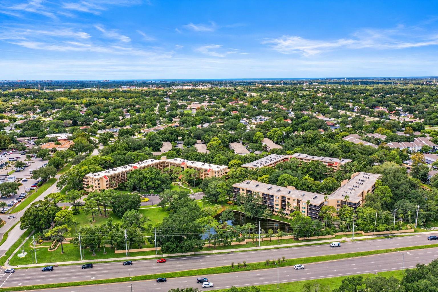 3062 EASTLAND BOULEVARD, #313, Clearwater, FL 33761