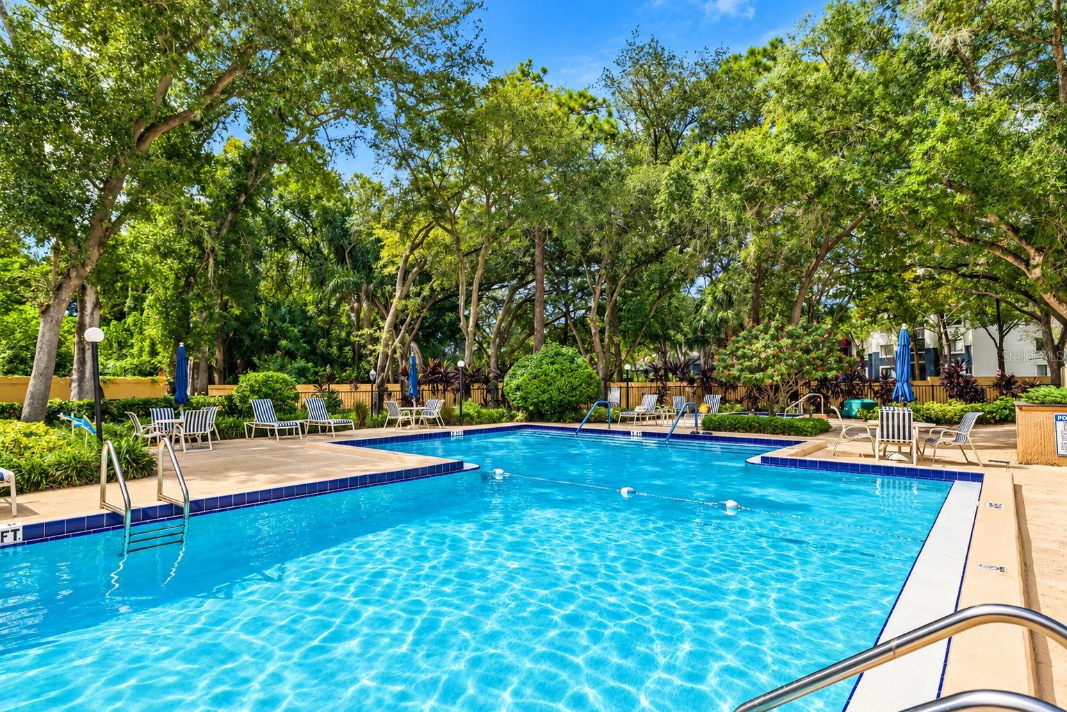 3062 EASTLAND BOULEVARD, #313, Clearwater, FL 33761