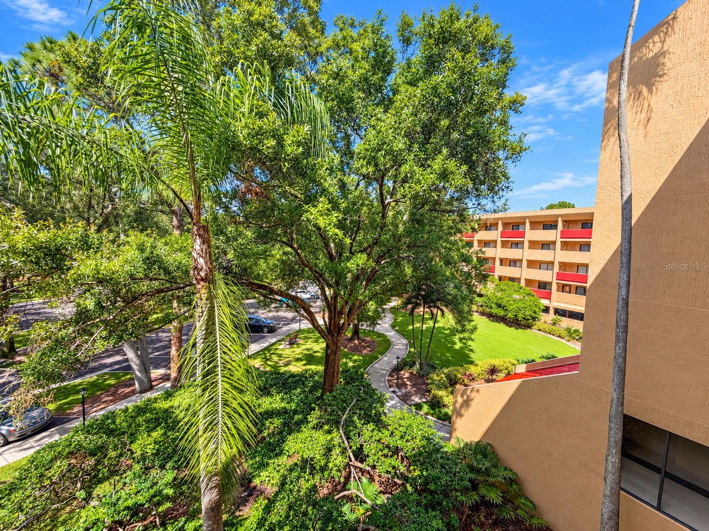 3062 EASTLAND BOULEVARD, #313, Clearwater, FL 33761