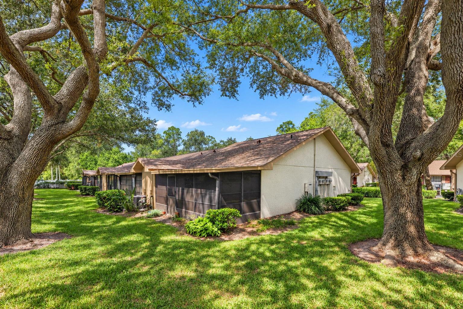 1111 TARRIDON COURT, #1111, Dunedin, FL 34698