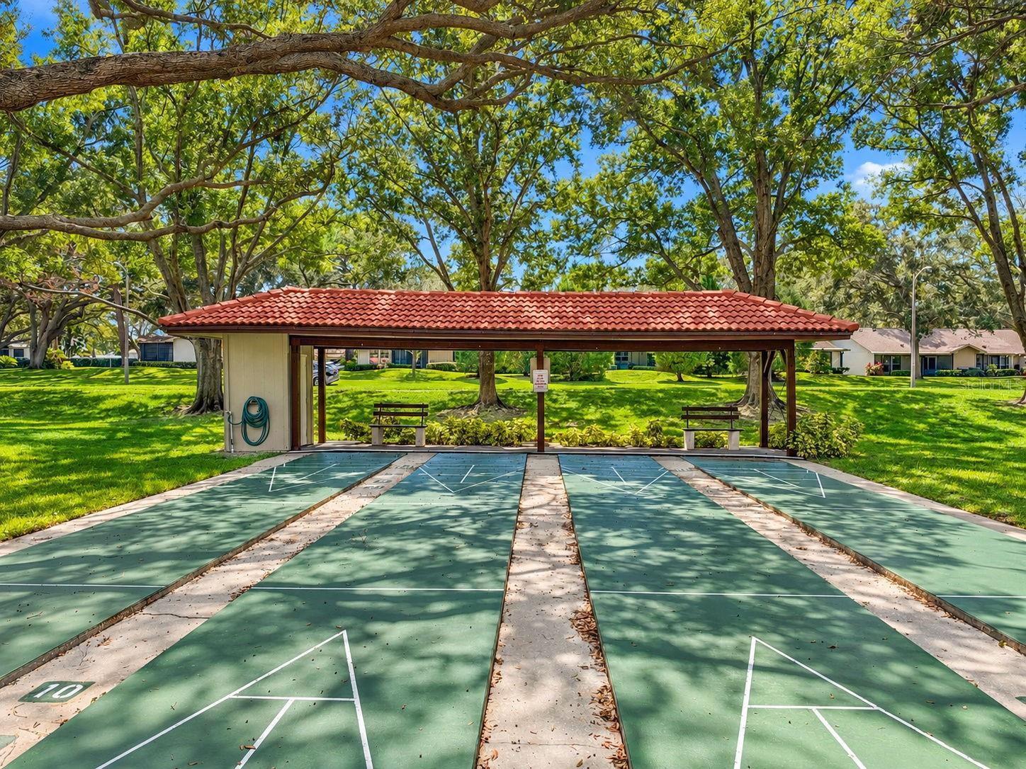 1111 TARRIDON COURT, #1111, Dunedin, FL 34698