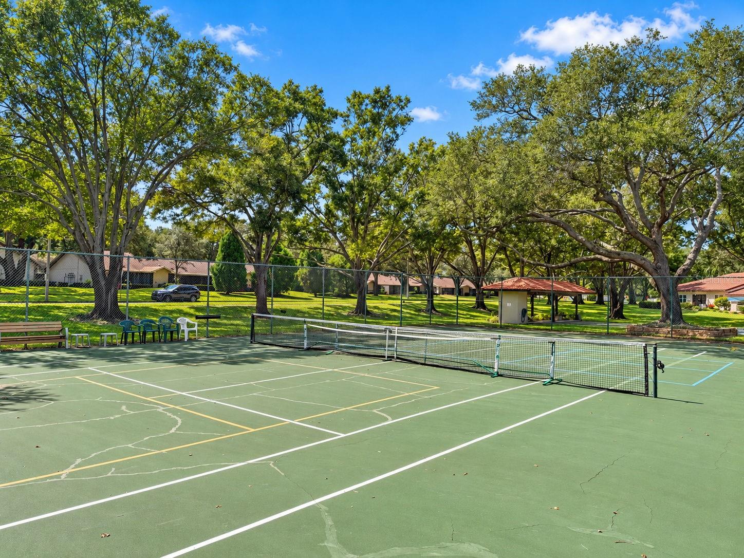 1111 TARRIDON COURT, #1111, Dunedin, FL 34698