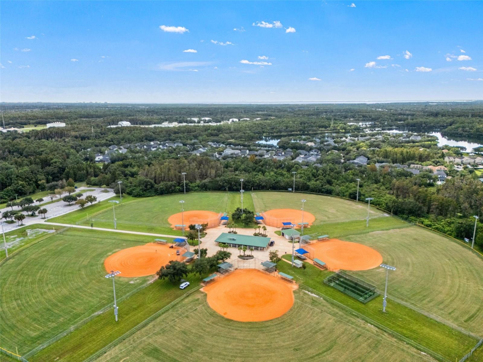 14623 CANOPY DRIVE, Tampa, FL 33626