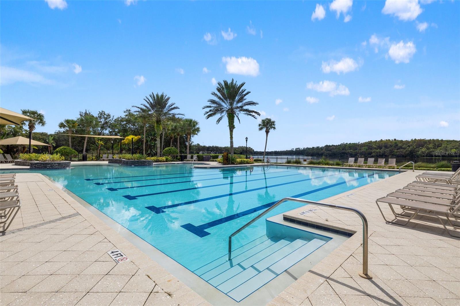 14623 CANOPY DRIVE, Tampa, FL 33626