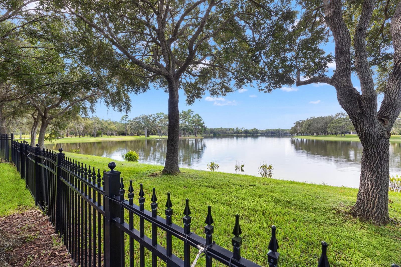 14623 CANOPY DRIVE, Tampa, FL 33626
