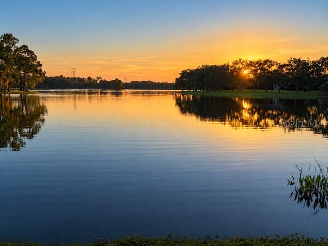 14623 CANOPY DRIVE, Tampa, FL 33626
