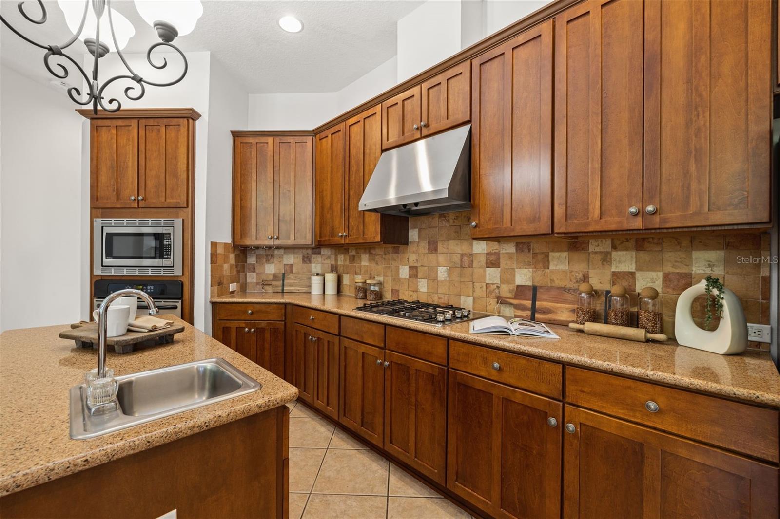14623 CANOPY DRIVE, Tampa, FL 33626