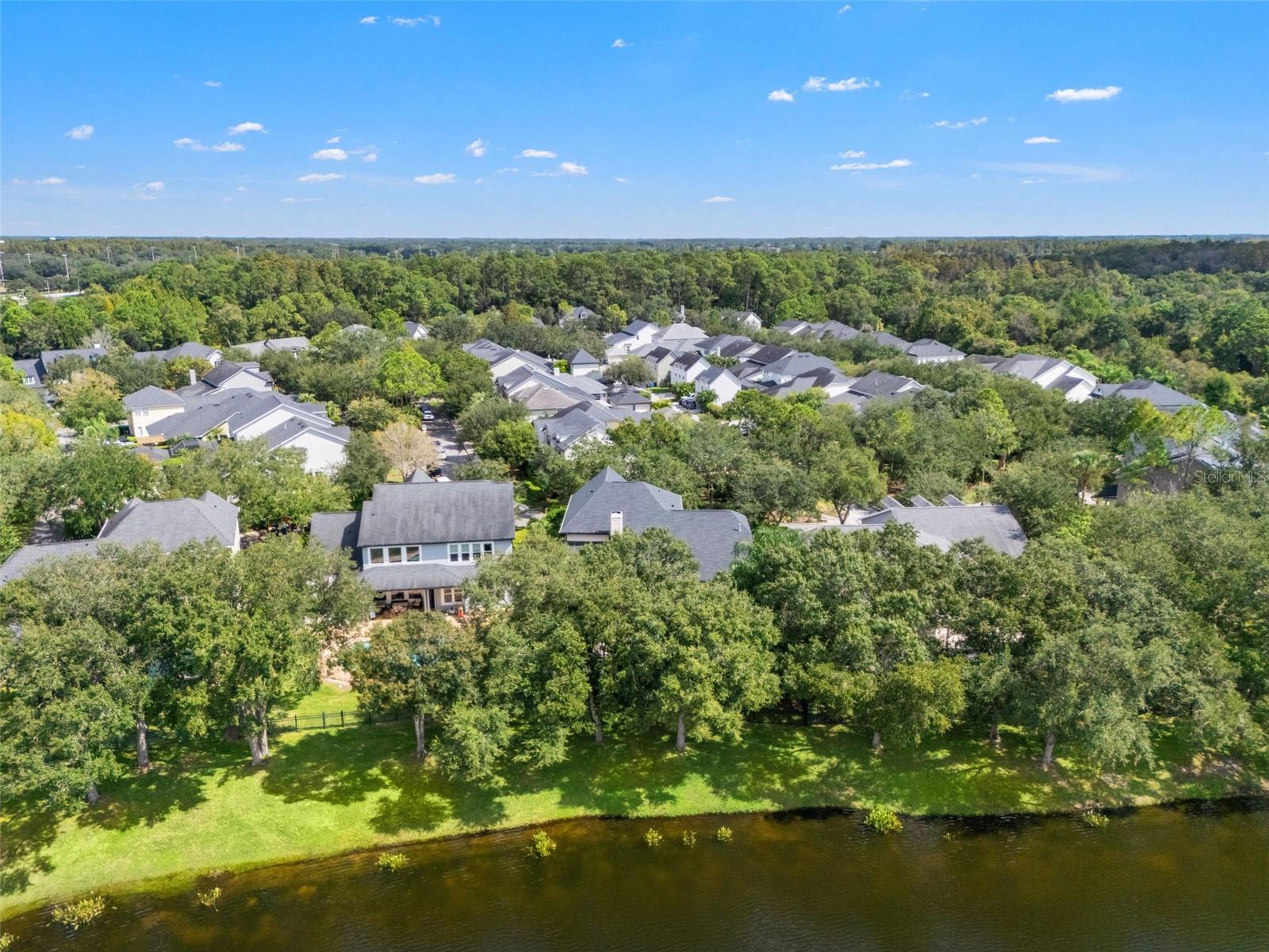 14623 CANOPY DRIVE, Tampa, FL 33626
