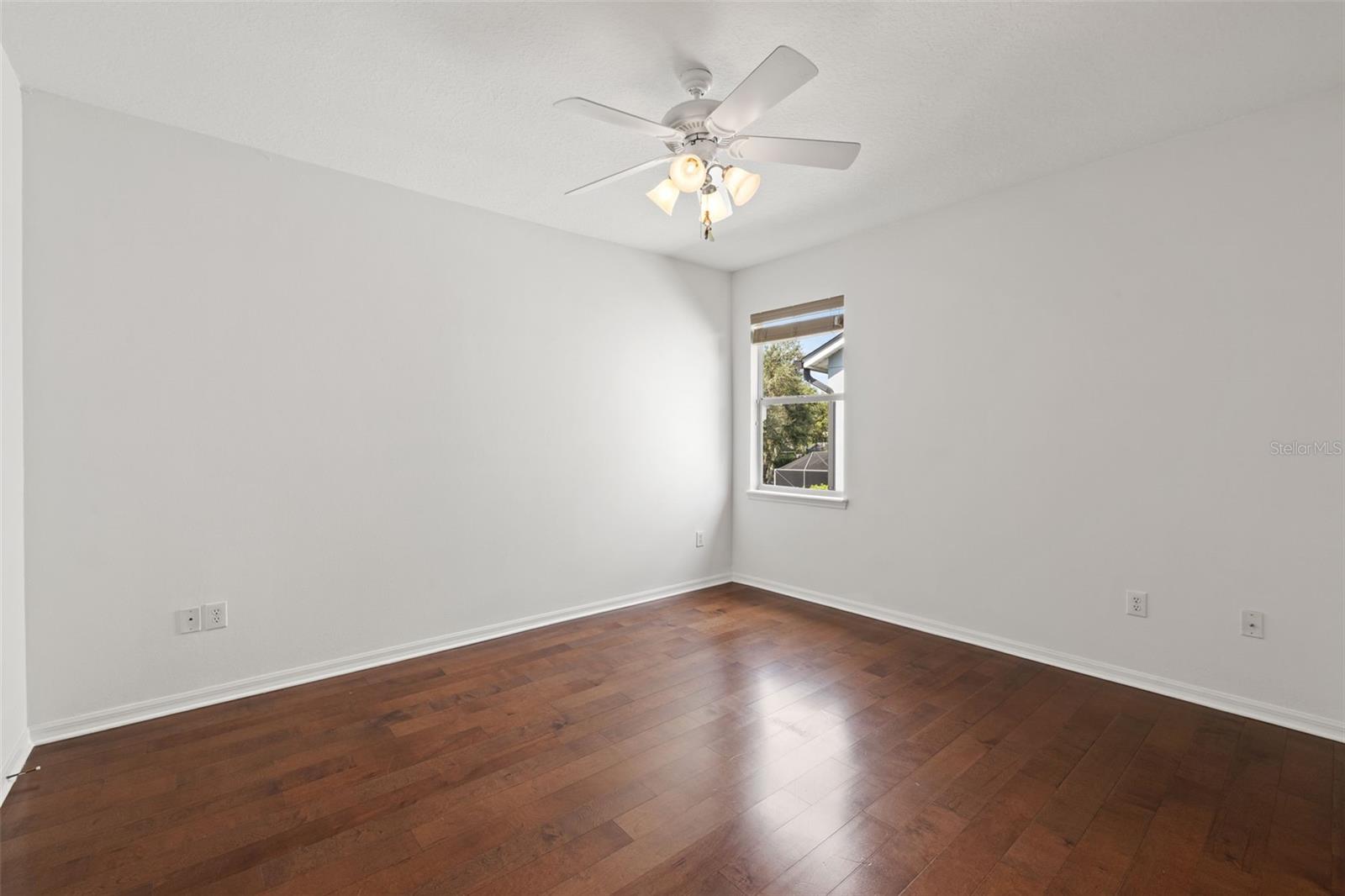 14623 CANOPY DRIVE, Tampa, FL 33626