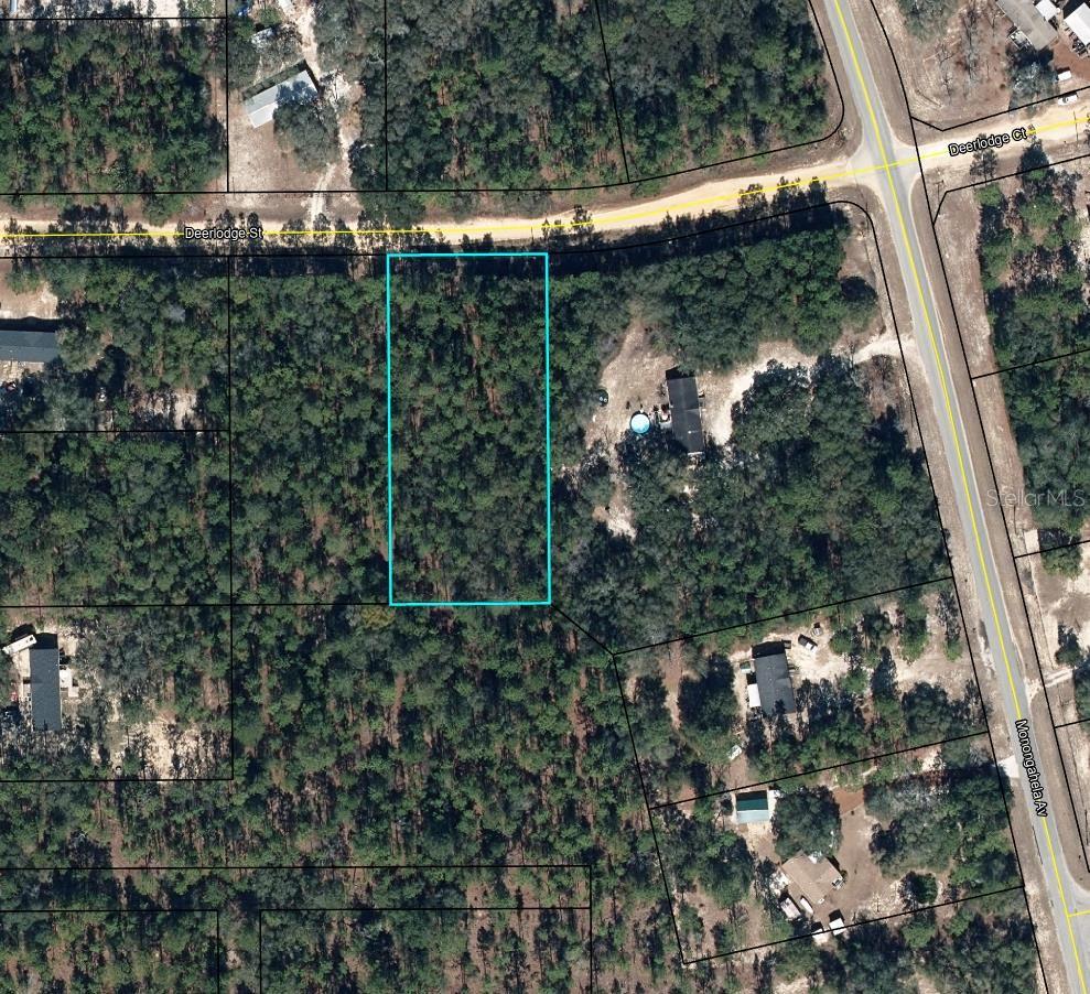 5615 DEERLODGE STREET, Keystone Heights, FL 32656