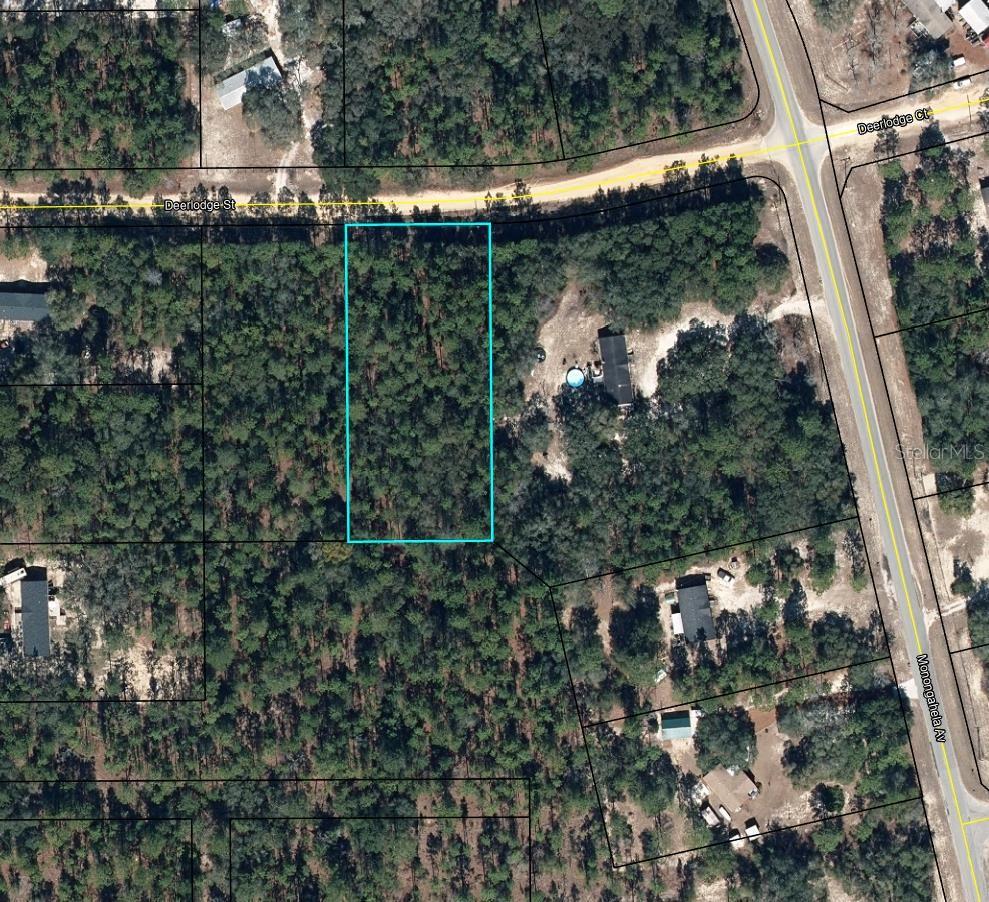 5615 DEERLODGE STREET, Keystone Heights, FL 32656 5615 DEERLODGE STREET, Keystone Heights, FL 32656