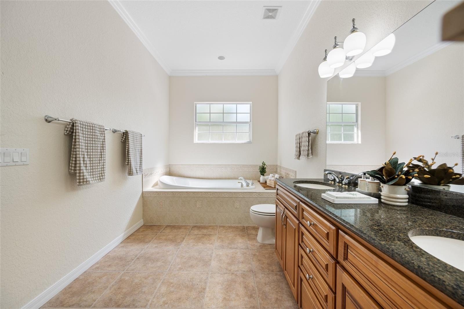 Large Garden Tub, High Ceiling & Crown Molding!