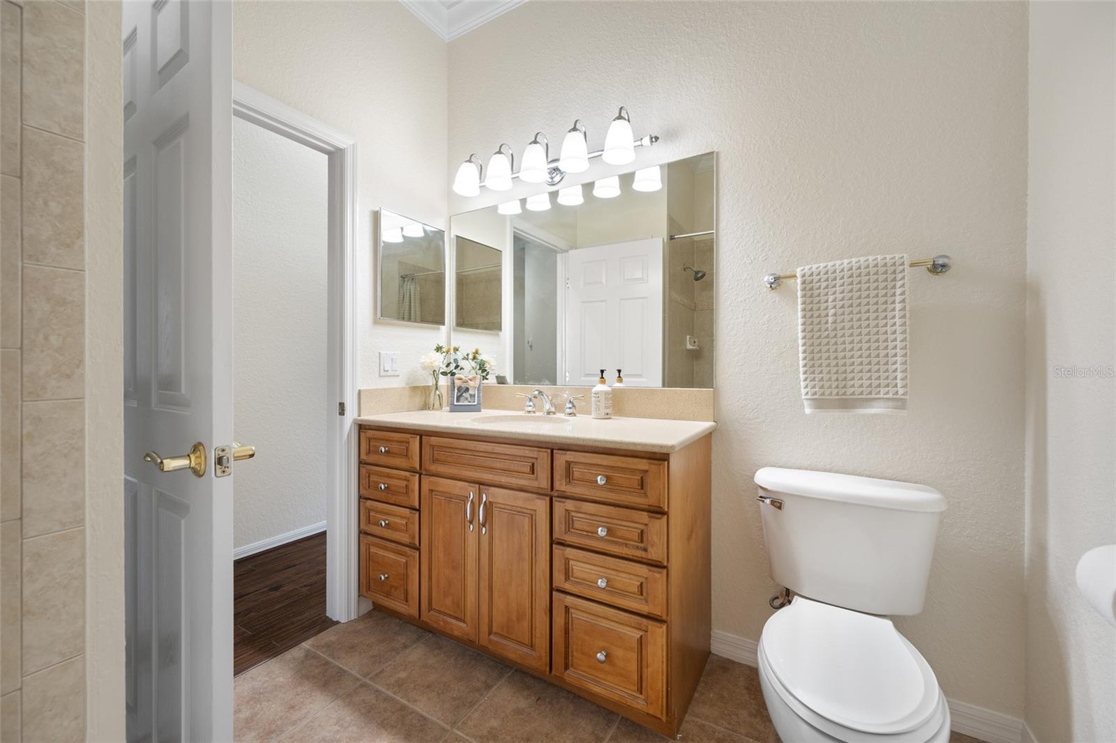 High Ceiling & Crown Molding!