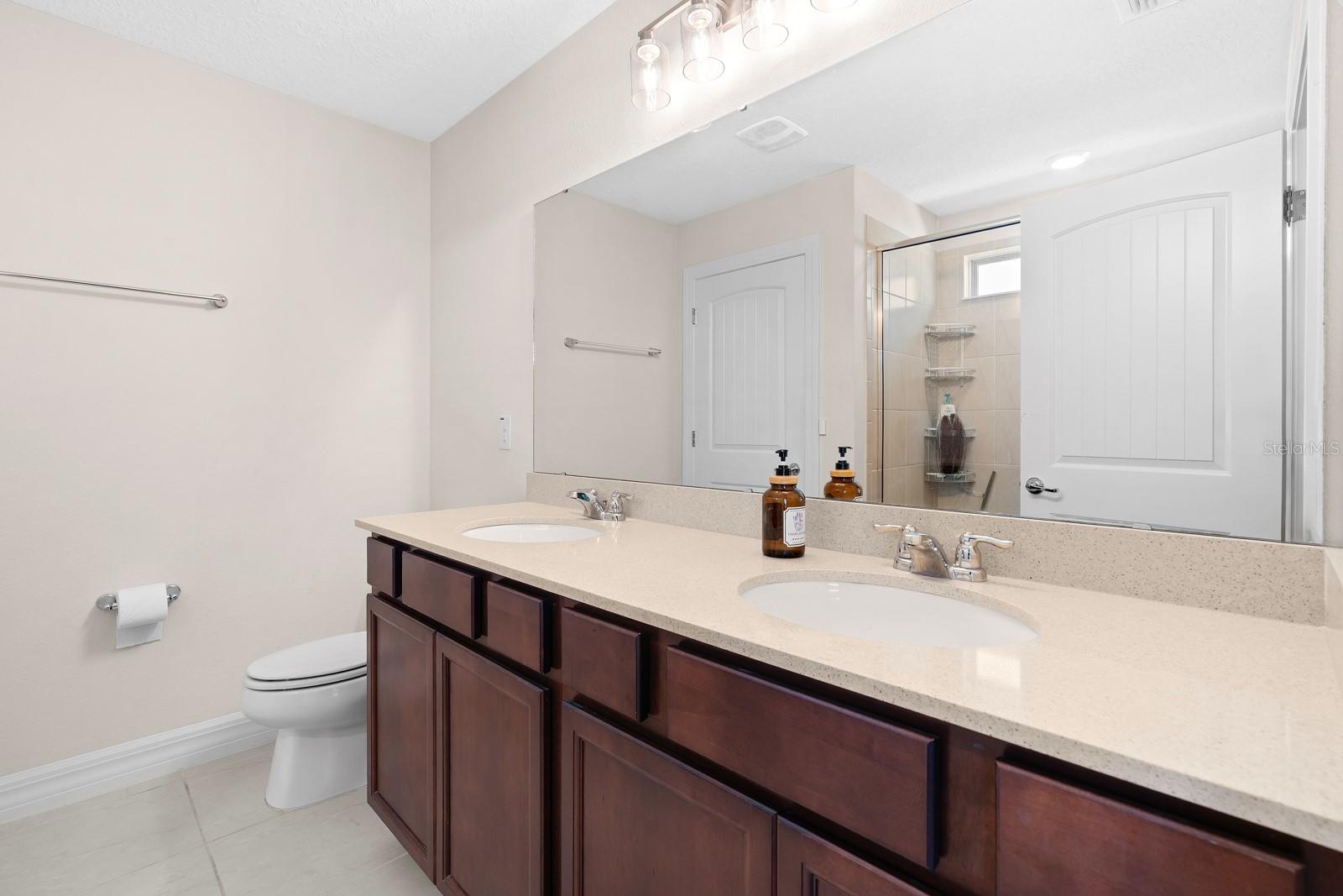 10316 WINE PRESS AVENUE, Riverview, FL 33578