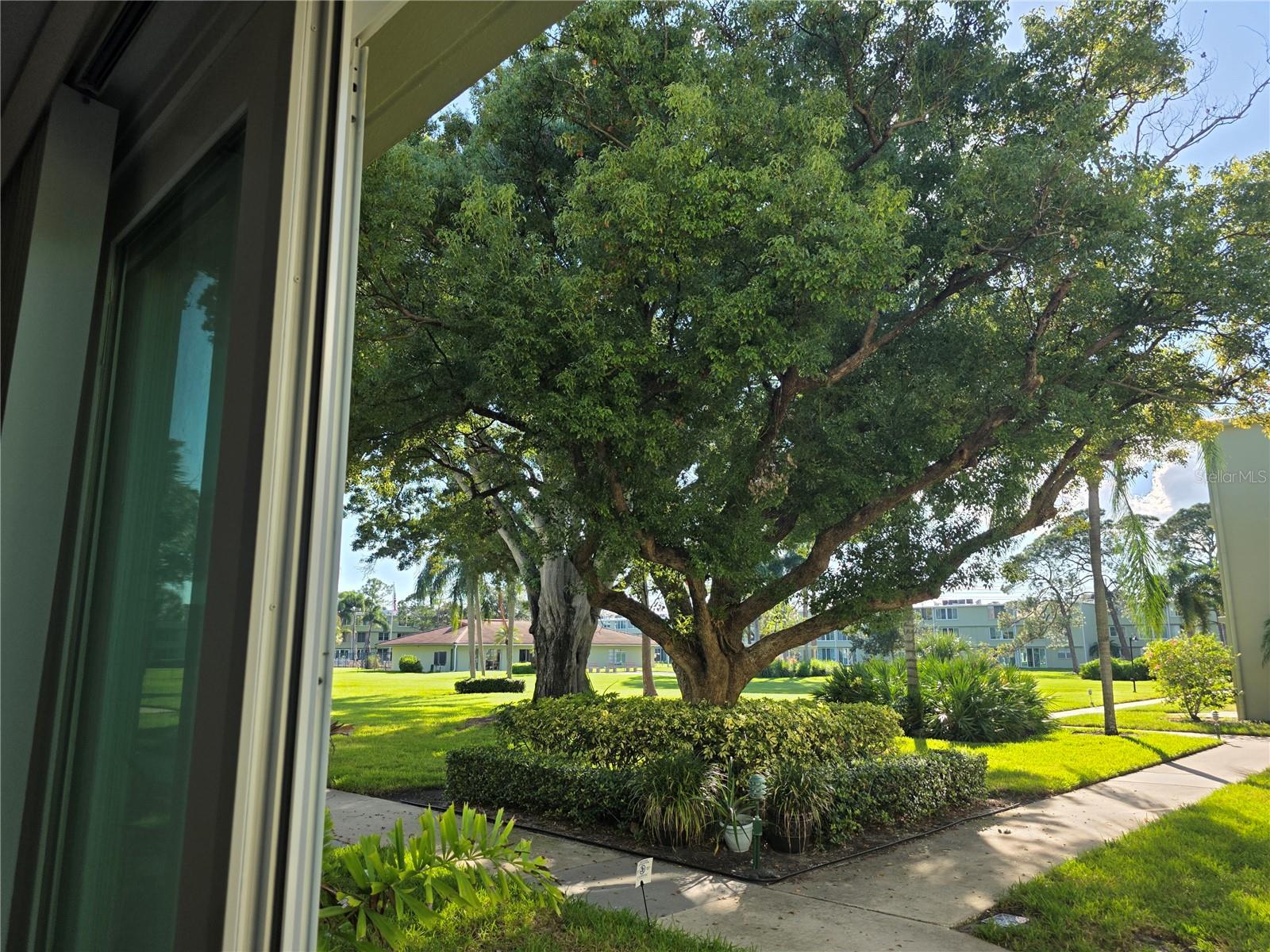 Looking at the clubhouse