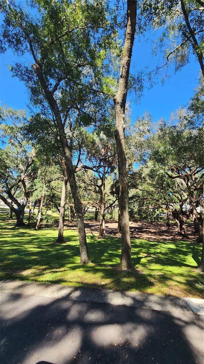 3950 N HUCKLEBERRY POINT, Beverly Hills, FL 34465