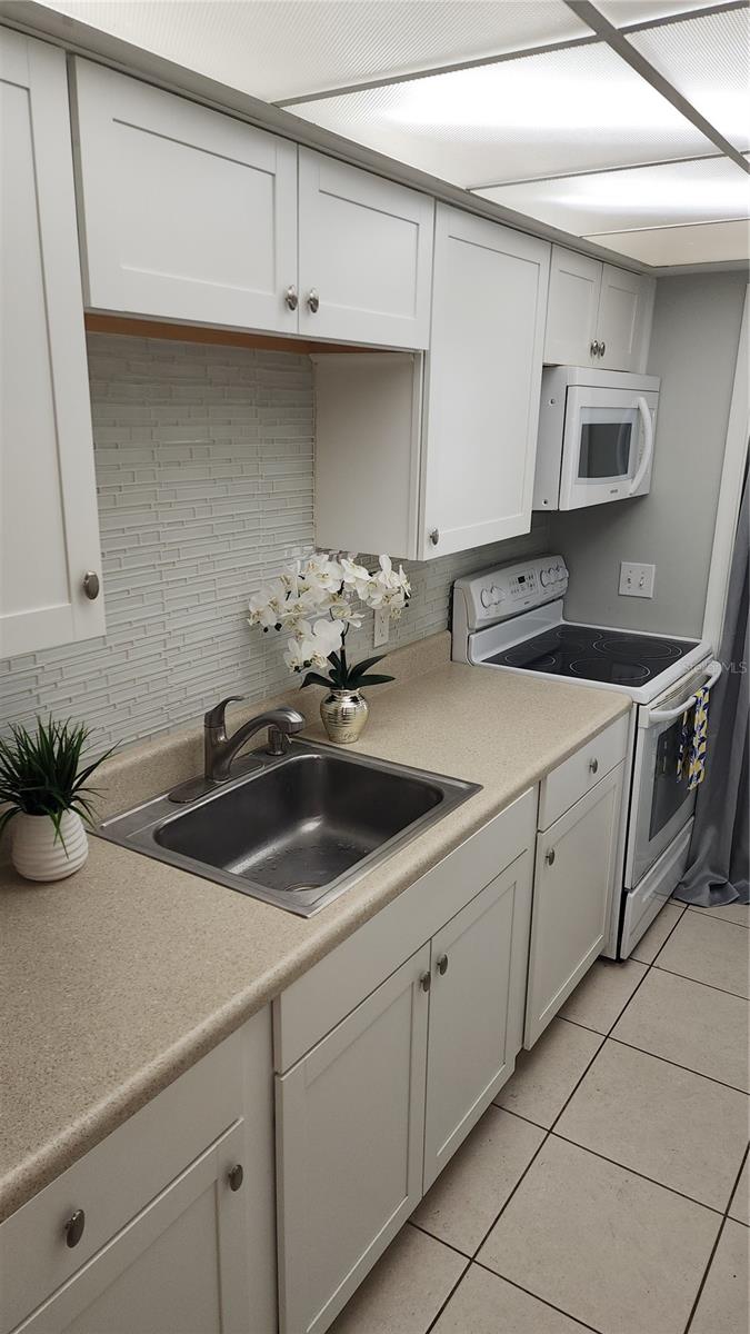 3950 N HUCKLEBERRY POINT, Beverly Hills, FL 34465