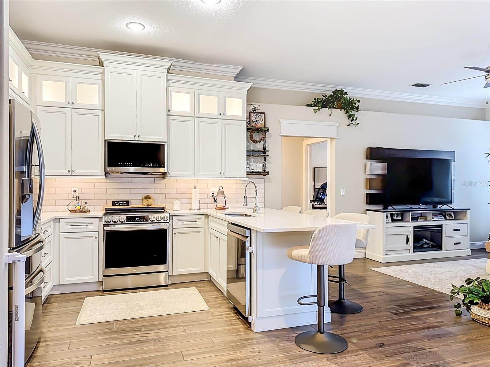 3605 ELK RIDGE LANE, Valrico, FL 33596