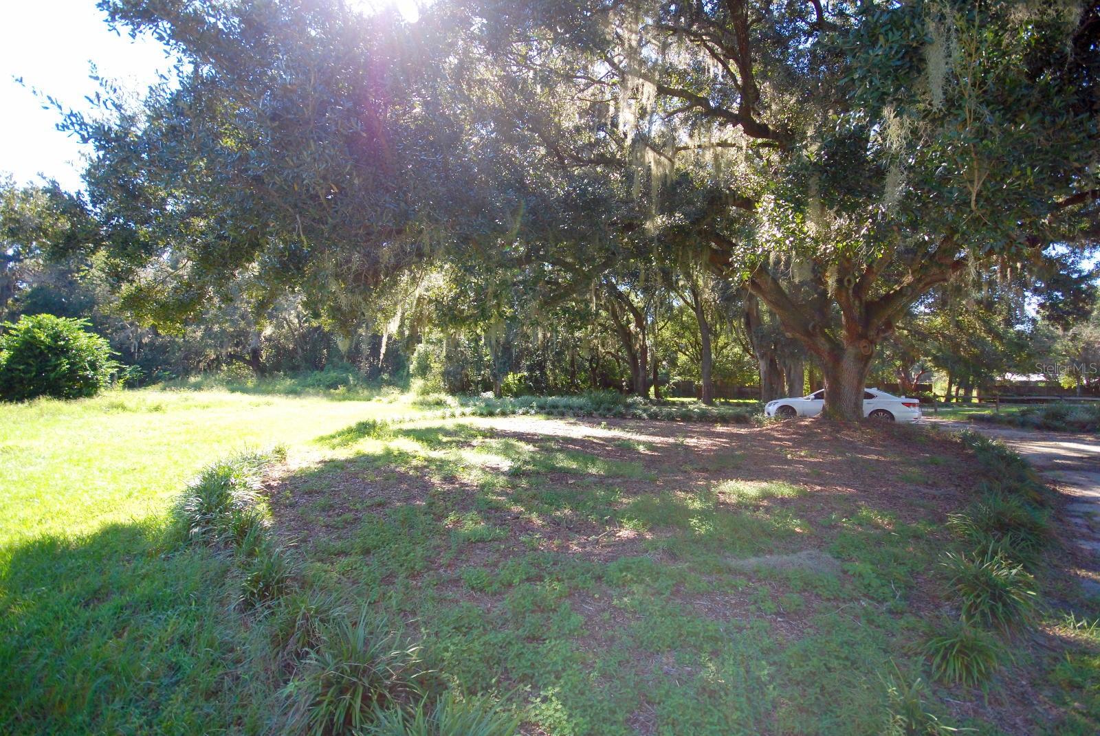 13022 E WHEELER ROAD, Dover, FL 33527