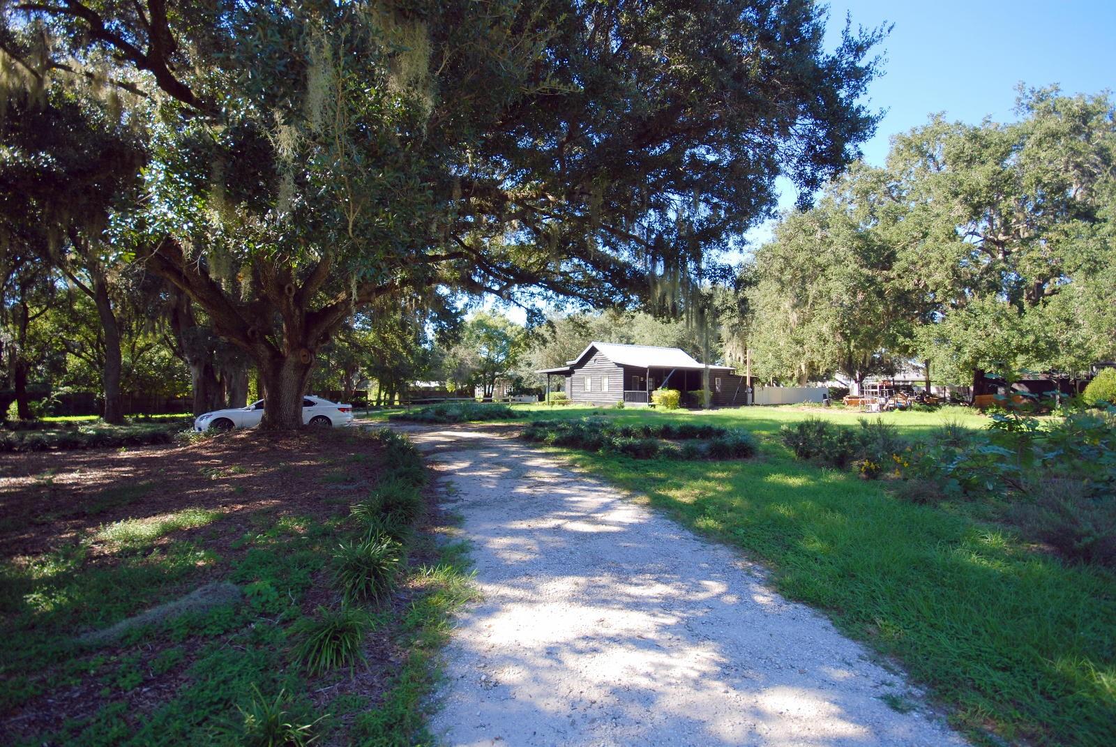 13022 E WHEELER ROAD, Dover, FL 33527