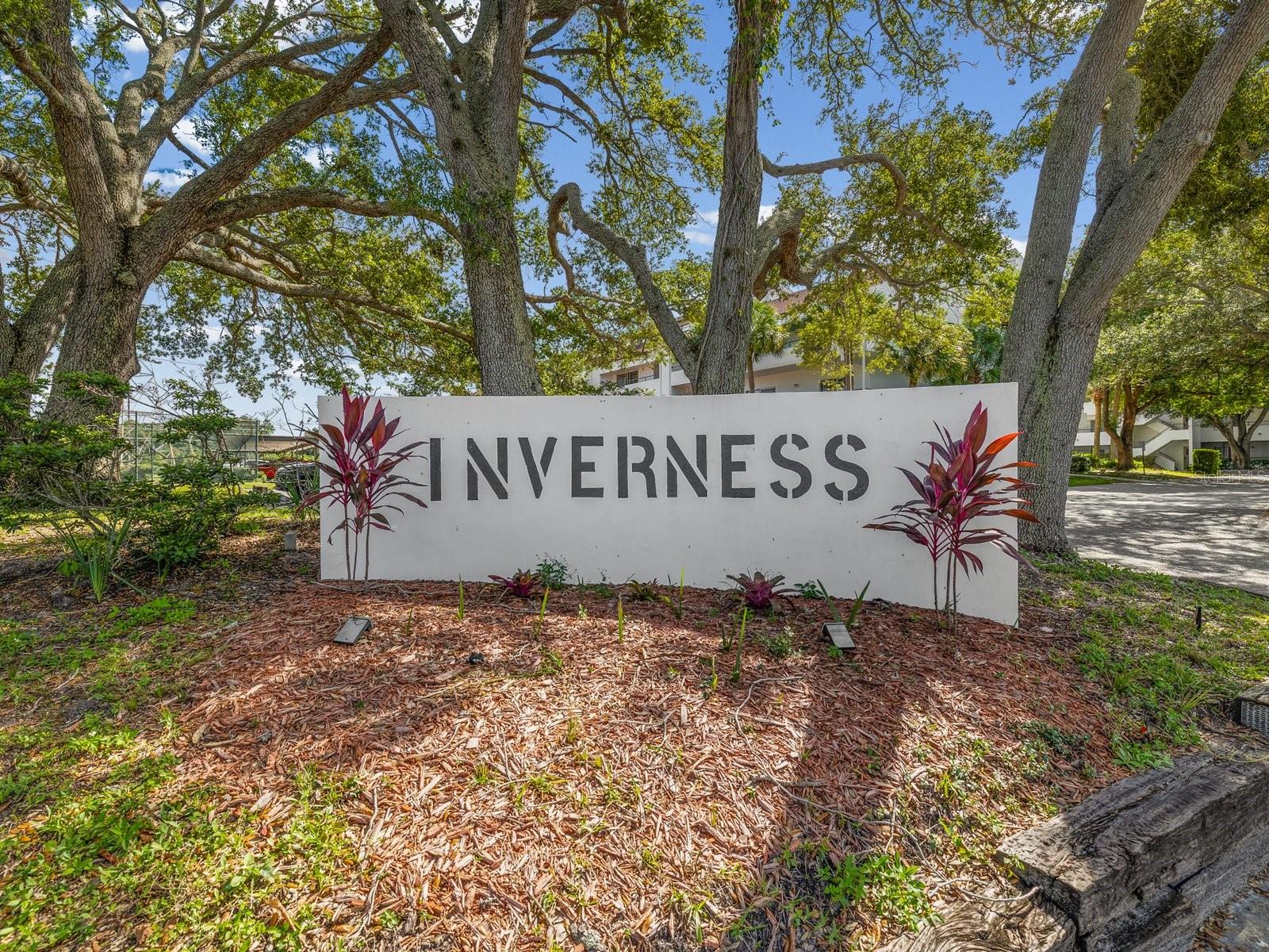 2593 COUNTRYSIDE BOULEVARD, #7304, Clearwater, FL 33761