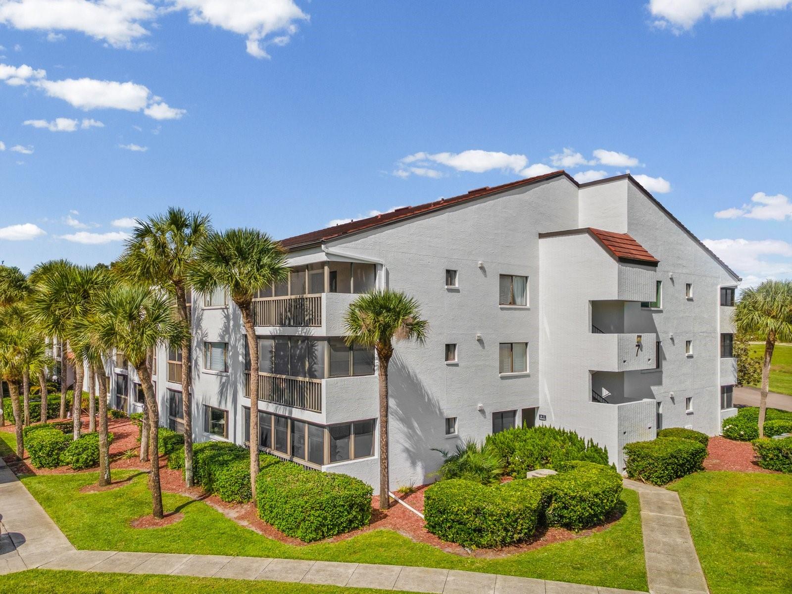 Lots of palms and nice landscaping