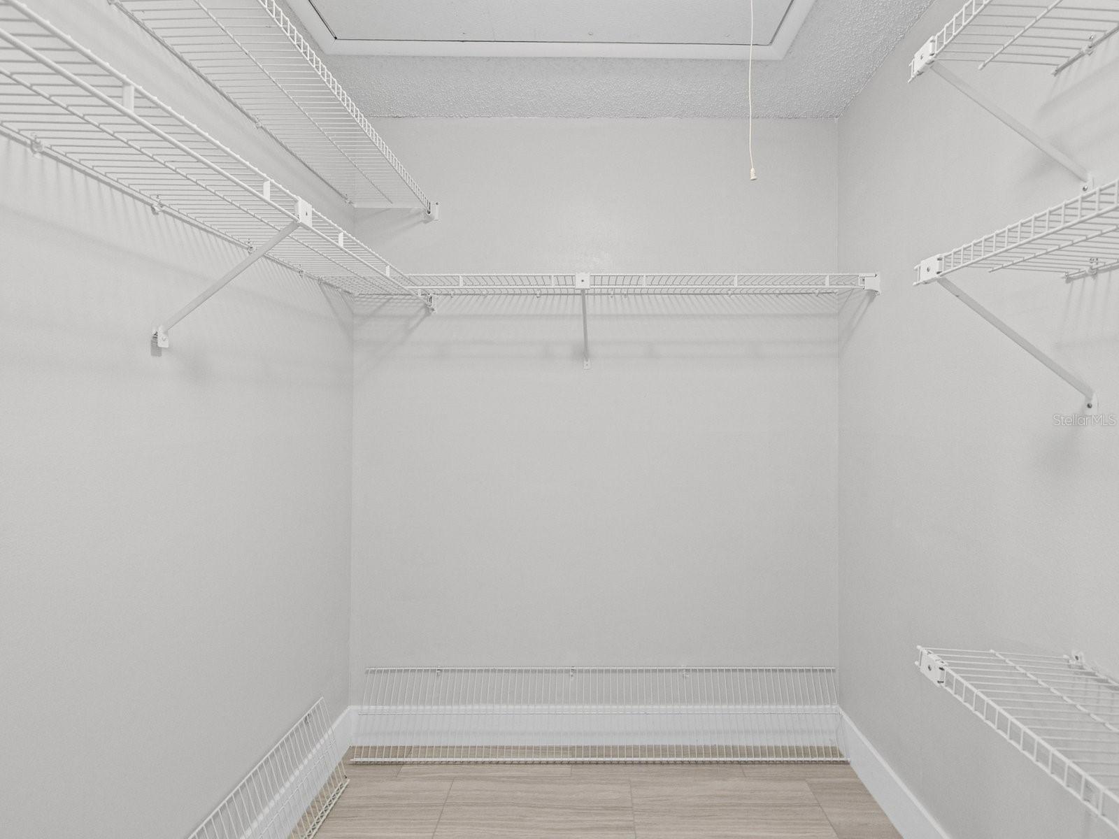 Large walk in closet with pull down stairs to storage above