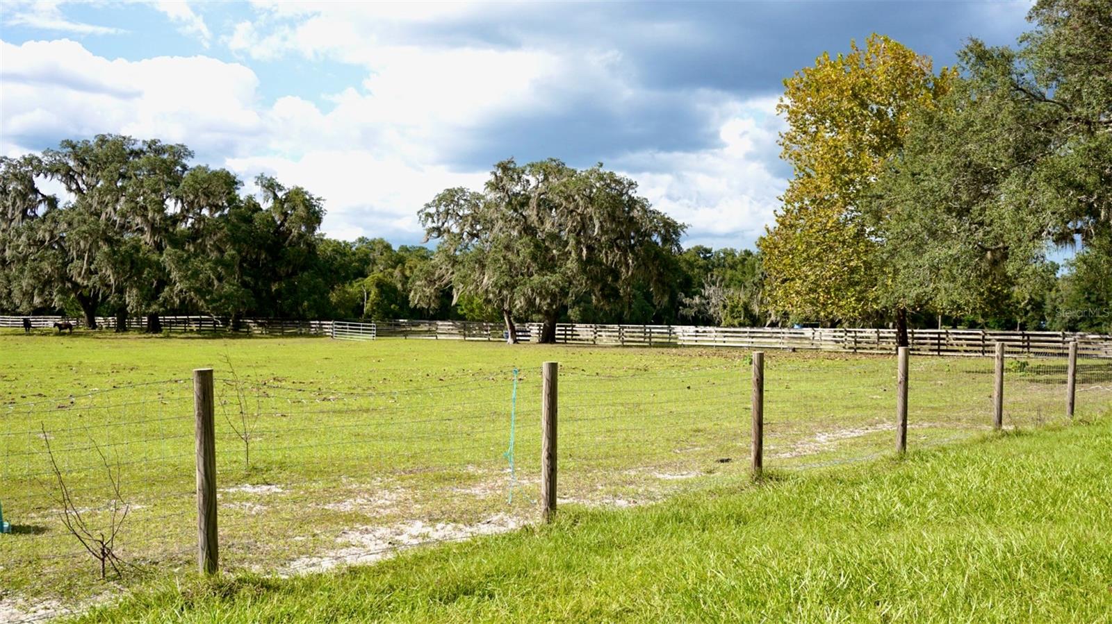 36178 GRESHAM ROAD, Webster, FL 33597 36178 GRESHAM ROAD, Webster, FL 33597