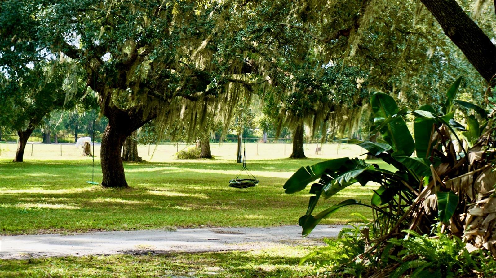 36178 GRESHAM ROAD, Webster, FL 33597 36178 GRESHAM ROAD, Webster, FL 33597