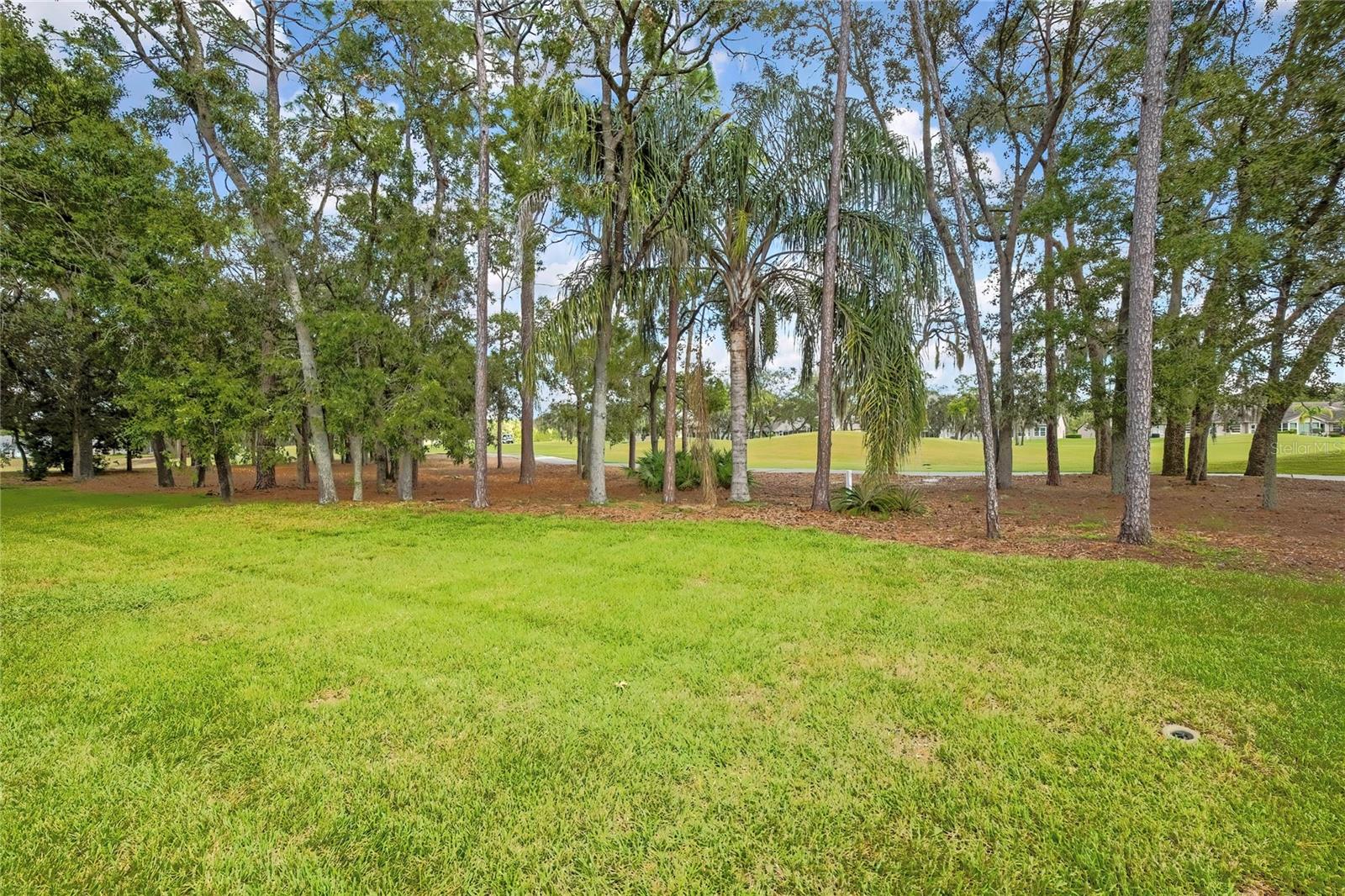 3076 SAW MILL LANE, Spring Hill, FL 34606