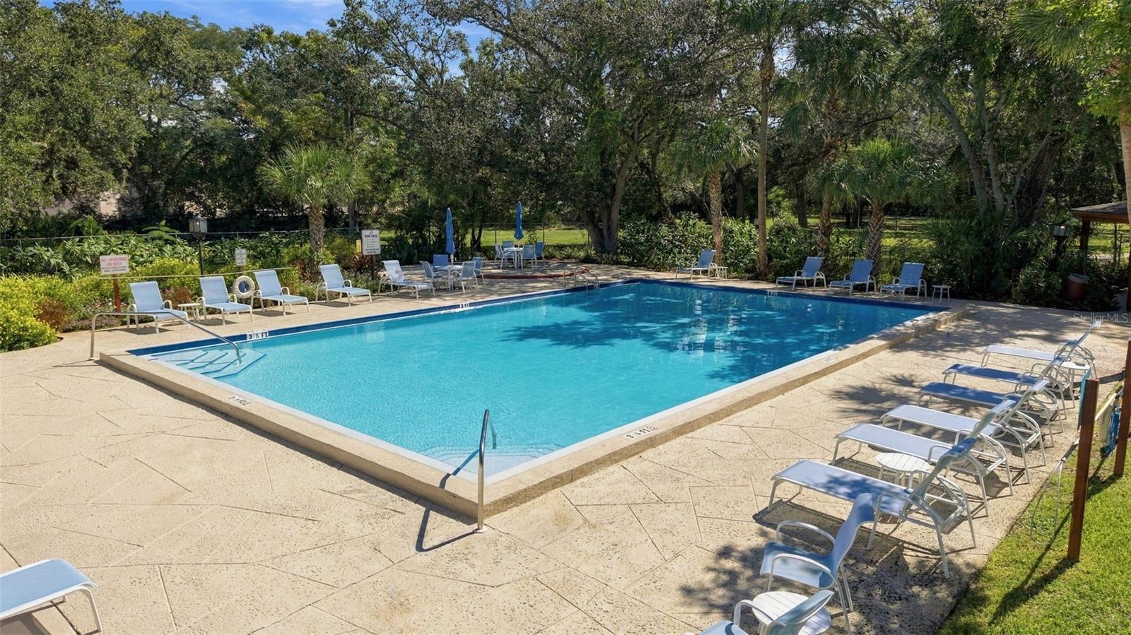 2630 PEARCE DRIVE, #211, Clearwater, FL 33764