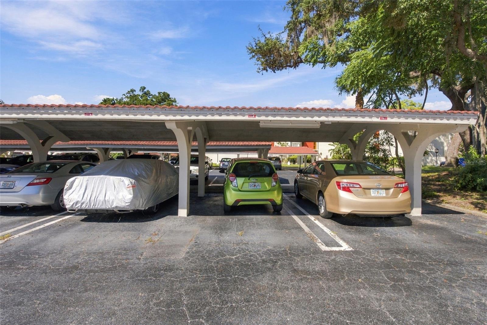 2630 PEARCE DRIVE, #211, Clearwater, FL 33764