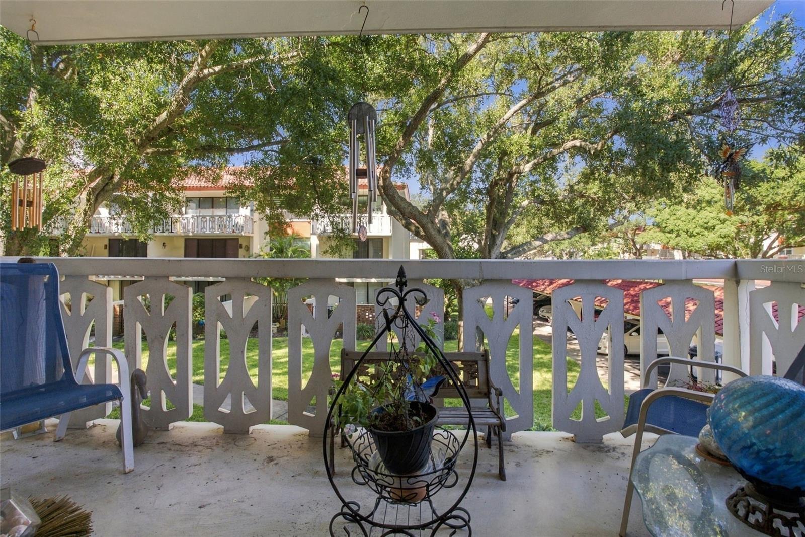 2630 PEARCE DRIVE, #211, Clearwater, FL 33764