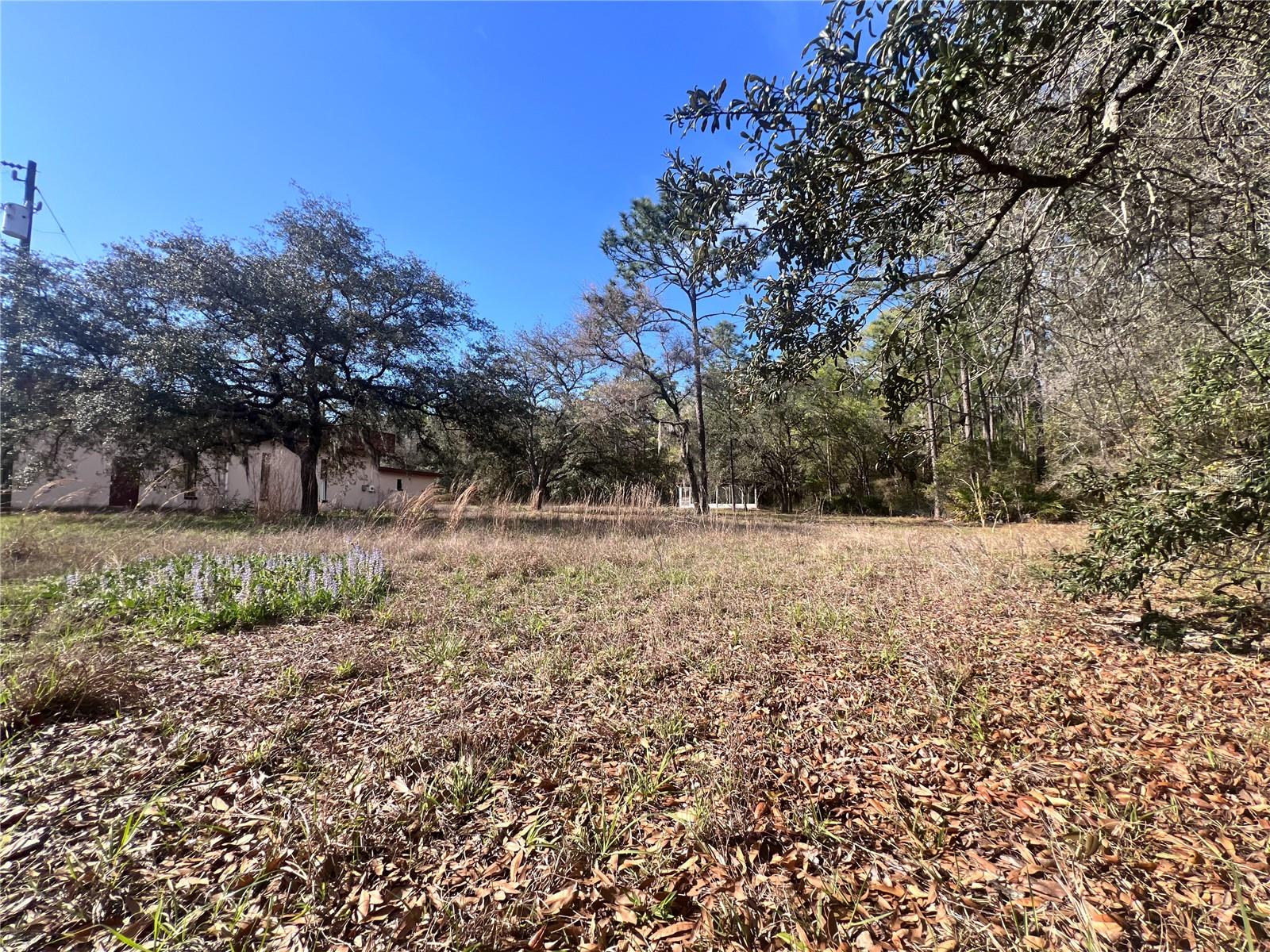 3975 W GROVER CLEVELAND BOULEVARD, Homosassa, FL 34446