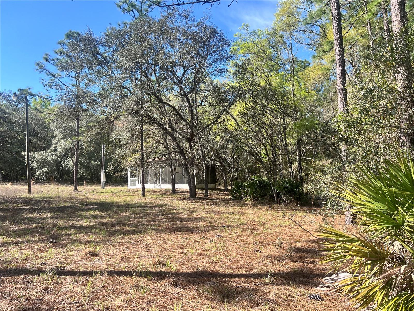 3975 W GROVER CLEVELAND BOULEVARD, Homosassa, FL 34446