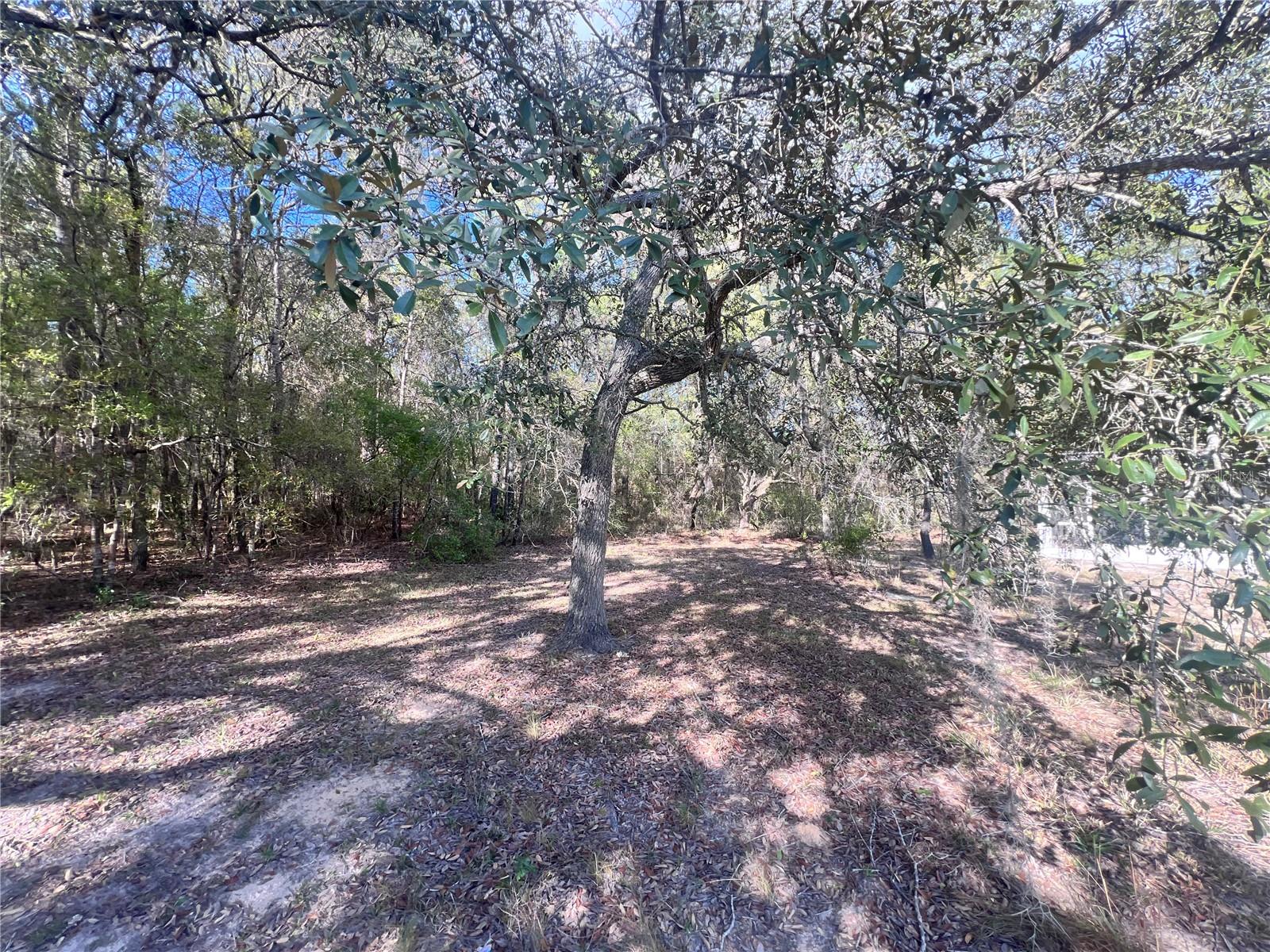 3975 W GROVER CLEVELAND BOULEVARD, Homosassa, FL 34446