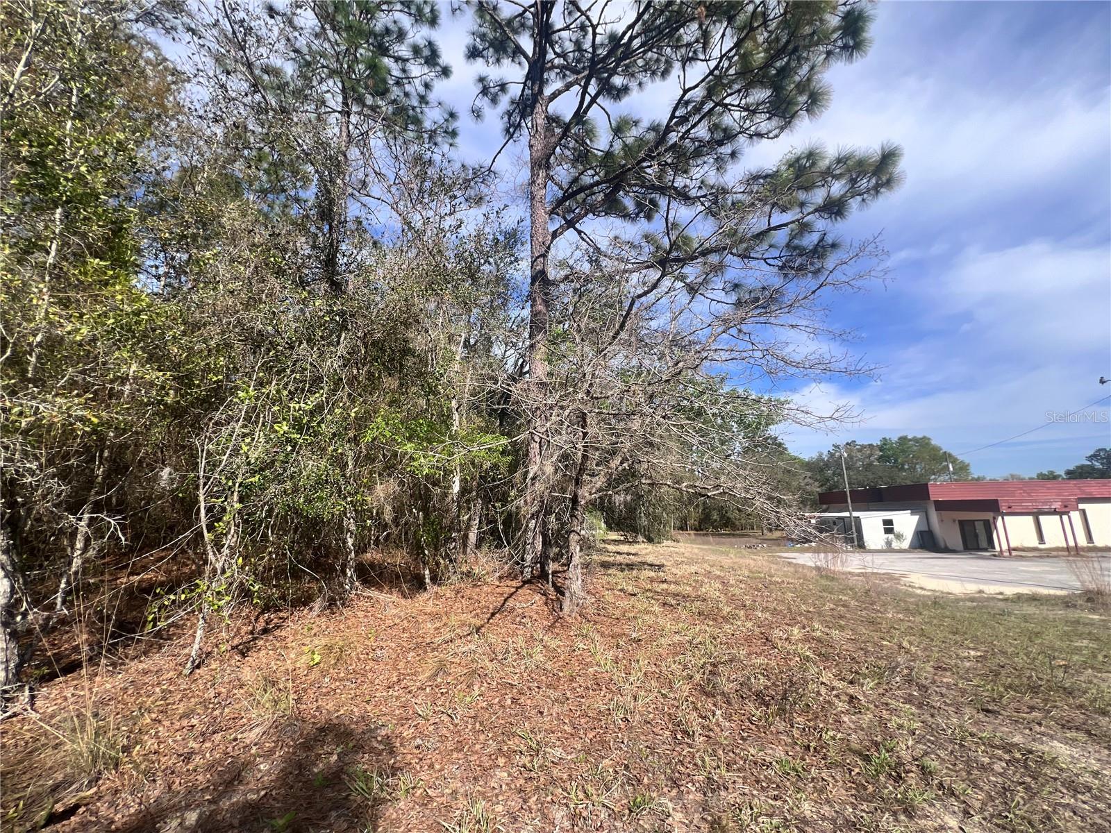 3975 W GROVER CLEVELAND BOULEVARD, Homosassa, FL 34446